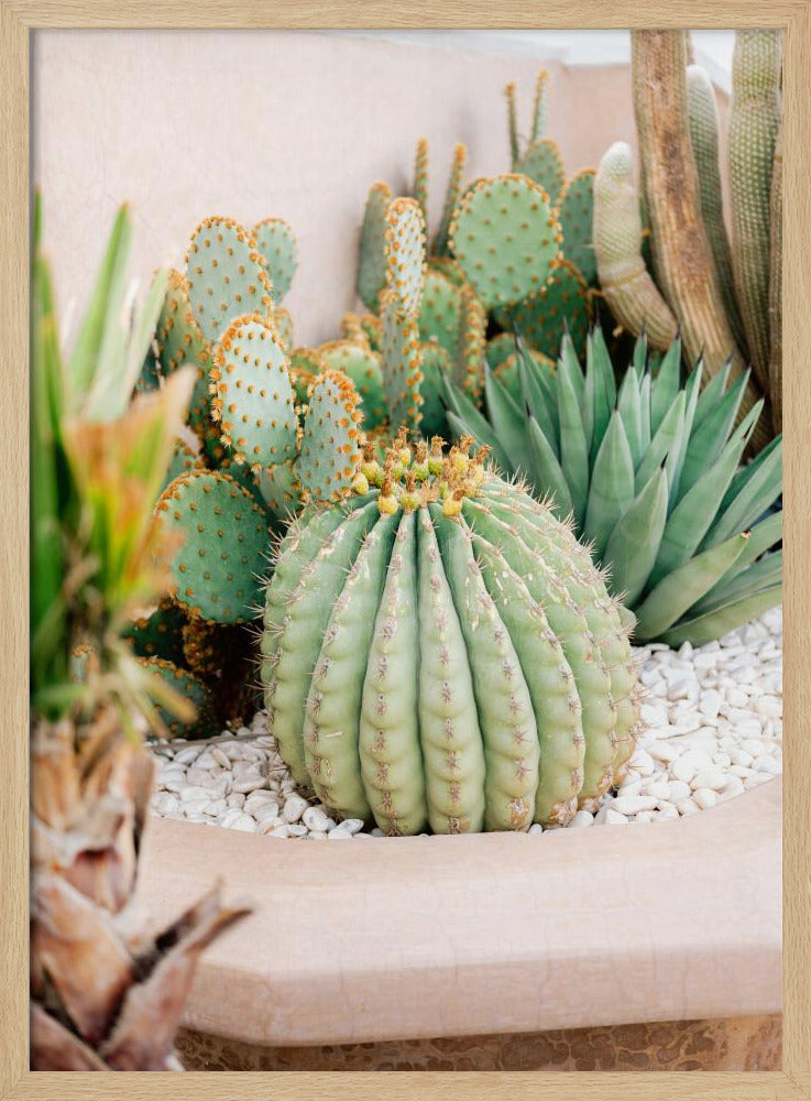 Cactus Love | Marrakech Travel Photography Poster